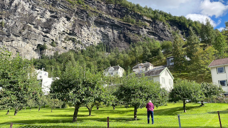 Woman picking apples in Gerainger
